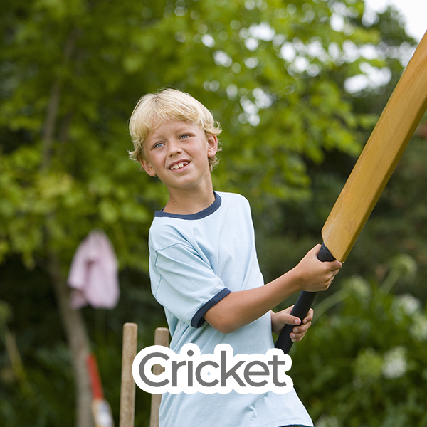 Cricket